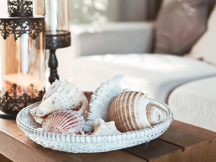 seashells in basket